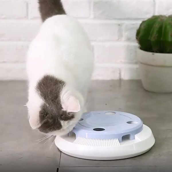 smart rotating donut electric feather teaser cat puzzle interactive playing game exercise toy automatic spinning turntable toys
smart rotating donut electric feather teaser cat puzzle interactive playing game exercise toy automatic spinning turntable toys