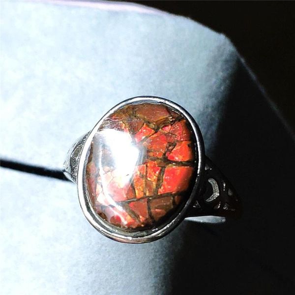 cluster rings natural red ammonite ammolite ring for men woman crystal love gift 16x14mm beads 925 sterling silver fashion, Golden;silver
cluster rings natural red ammonite ammolite ring for men woman crystal love gift 16x14mm beads 925 sterling silver fashion, Golden;silver