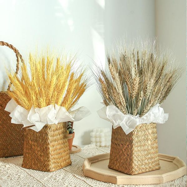 50pcs real wheat natural dried flowers wedding decoration craft scrapbook diy home bouquet po props decorative & wreaths
50pcs real wheat natural dried flowers wedding decoration craft scrapbook diy home bouquet po props decorative & wreaths