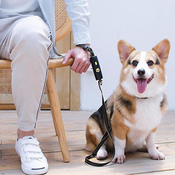 dog collars & leashes hand holding rope small and medium-sized leash elastic string hands with handle retractable
dog collars & leashes hand holding rope small and medium-sized leash elastic string hands with handle retractable