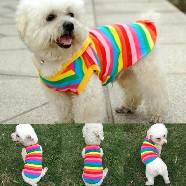 dog apparel 2021 ly design rainbow stripe pet shirt vest clothes puppy cat costume clothing for teddy summer
dog apparel 2021 ly design rainbow stripe pet shirt vest clothes puppy cat costume clothing for teddy summer