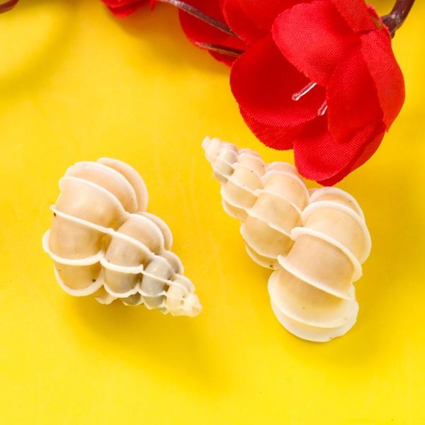 novelty items natural conch shell rare sea snail marine specimen collection fish tank landscaping decoration home gift
novelty items natural conch shell rare sea snail marine specimen collection fish tank landscaping decoration home gift