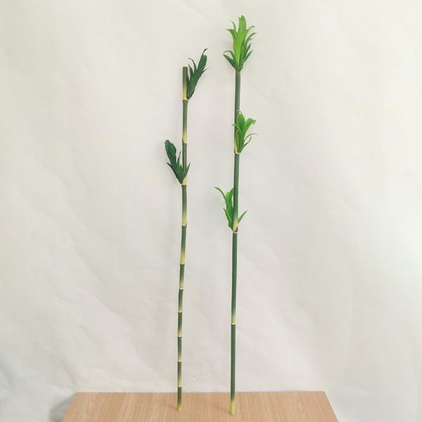 lucky bamboo 110cm monstera plantas artificiales home decor bonsai para decoracion fake plants plante artificielle fausse tree decorative fl
lucky bamboo 110cm monstera plantas artificiales home decor bonsai para decoracion fake plants plante artificielle fausse tree decorative fl