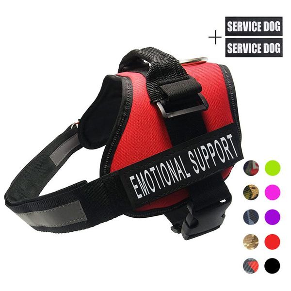 cat harnesses no pull reflective breathable adjustable pet harness for dog vest outdoor walking supplies padding with handle collars & leads
cat harnesses no pull reflective breathable adjustable pet harness for dog vest outdoor walking supplies padding with handle collars & leads