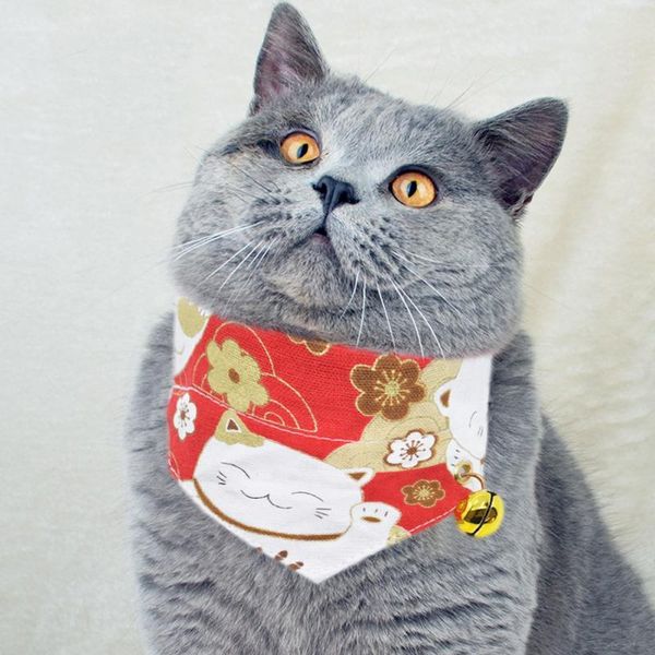 cat collars & leads boutique household pet garden supplies tough knight's will to be a product sale saliva towel cute bell lucky 2021
cat collars & leads boutique household pet garden supplies tough knight's will to be a product sale saliva towel cute bell lucky 2021