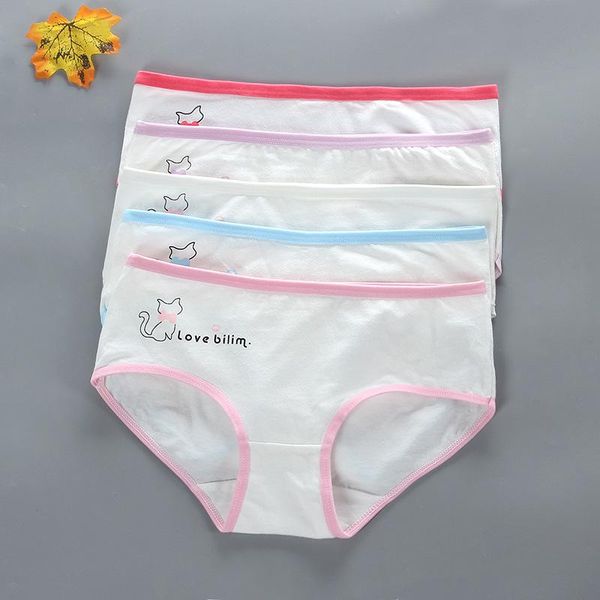 panties 3pcs soft pants briefs children underwear kids box cotton cute teen girl thong for girls shorts cosy 8-14 12 10, Camo
panties 3pcs soft pants briefs children underwear kids box cotton cute teen girl thong for girls shorts cosy 8-14 12 10, Camo