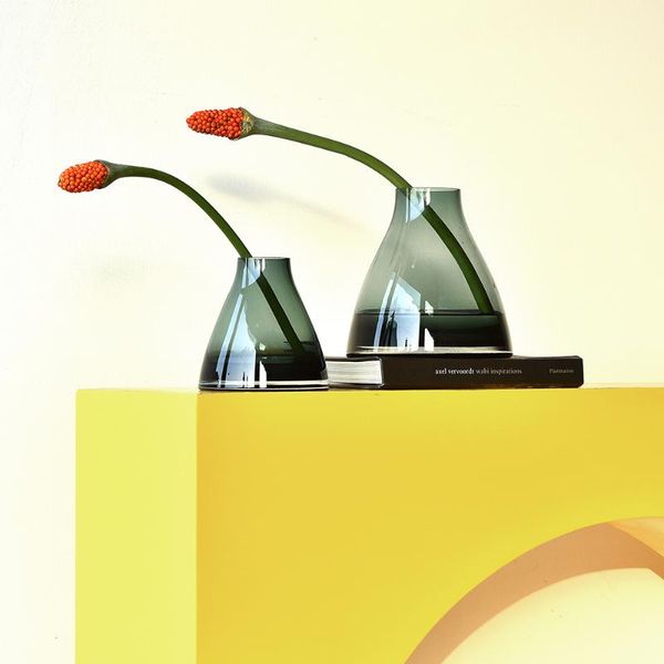 modern simple vase transparent creative small glass minimalist decor table decoration living room jarron home bn50hp vases
modern simple vase transparent creative small glass minimalist decor table decoration living room jarron home bn50hp vases
