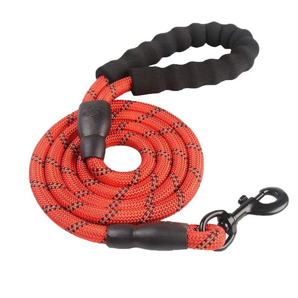 pet supplies dog leash reflective nylon round rope various colors chain set collars & leashes
pet supplies dog leash reflective nylon round rope various colors chain set collars & leashes