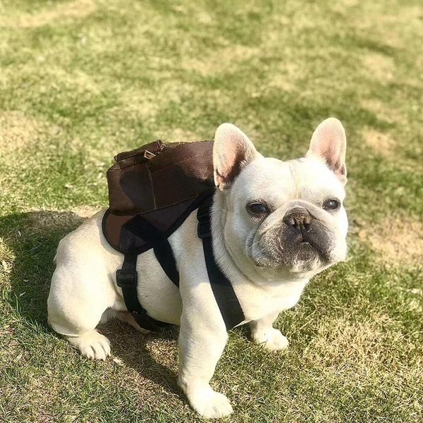 luxury pet supplies classic print style apparel europe and america popularity pets backpack luxurious designer dog harness
luxury pet supplies classic print style apparel europe and america popularity pets backpack luxurious designer dog harness