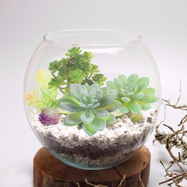 decorative flowers & wreaths 15pcs artificial succulent flocking plants unpotted mini fake succulents plant lotus landscape garden arrange d
decorative flowers & wreaths 15pcs artificial succulent flocking plants unpotted mini fake succulents plant lotus landscape garden arrange d