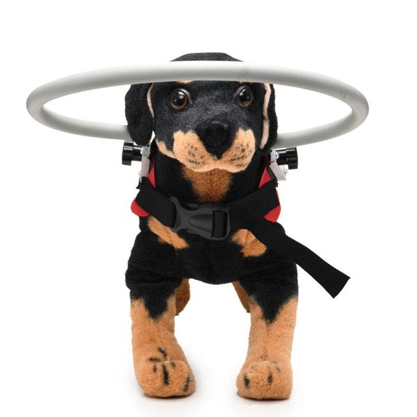 dog collars & leashes pet dogs harness anti-collision ring for blind cataract animal protection multi-size chest strap collar seat belts /
dog collars & leashes pet dogs harness anti-collision ring for blind cataract animal protection multi-size chest strap collar seat belts /
