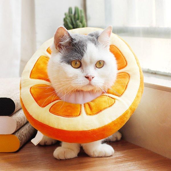 cat collars & leads pet elizabethan adjustable recovery collar anti-bite protection cone for kittens puppies supplies
cat collars & leads pet elizabethan adjustable recovery collar anti-bite protection cone for kittens puppies supplies