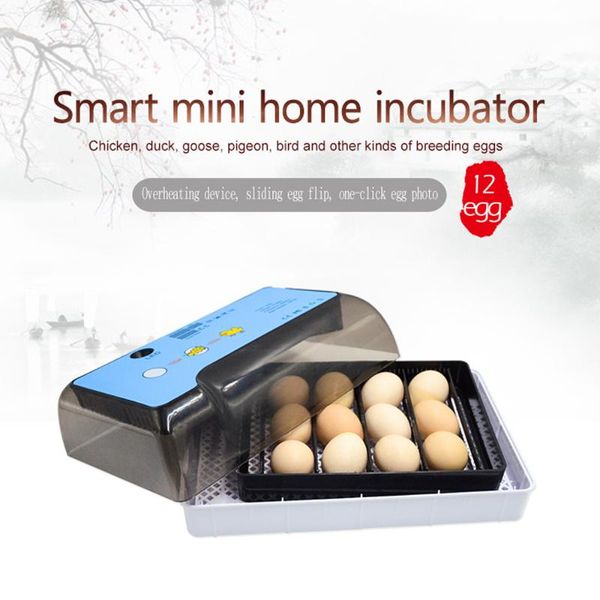 smart home control household incubator full automatic egg-turner 12 eggs brooder with led testing multifunctional tray adjustable space
smart home control household incubator full automatic egg-turner 12 eggs brooder with led testing multifunctional tray adjustable space