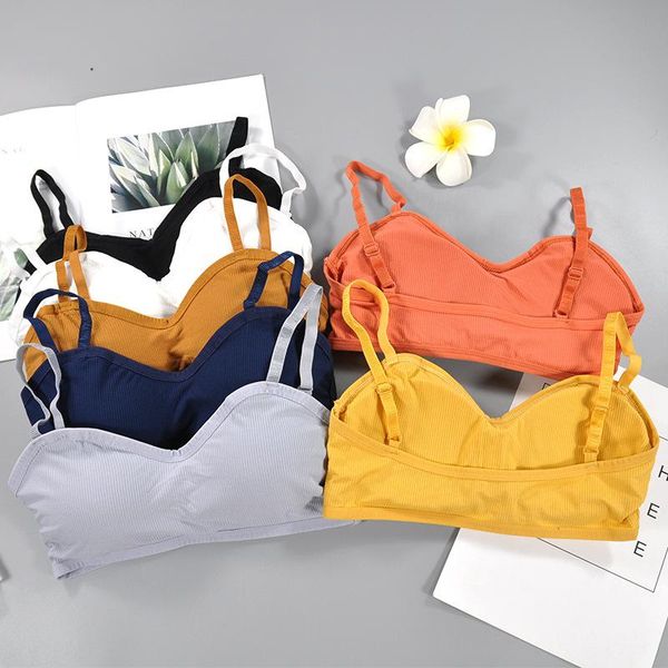 sports bra girl jogging gym underwear push up fitness cotton solid women running yoga sport bras clothing, White;black
sports bra girl jogging gym underwear push up fitness cotton solid women running yoga sport bras clothing, White;black