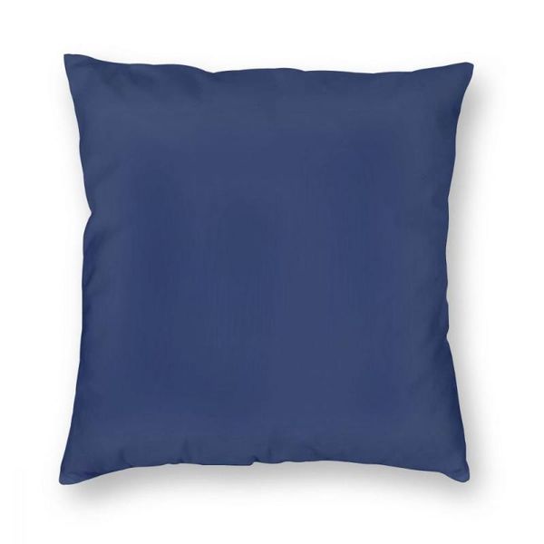 cushion/decorative pillow blue delft square case polyester decorative funny cushion covers
cushion/decorative pillow blue delft square case polyester decorative funny cushion covers