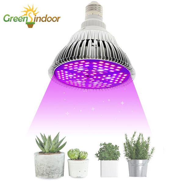 bulbs grow light for plants red blue white uv ir leds phytolamp orchids indoor phyto lamp full spectrum flower lights
bulbs grow light for plants red blue white uv ir leds phytolamp orchids indoor phyto lamp full spectrum flower lights
