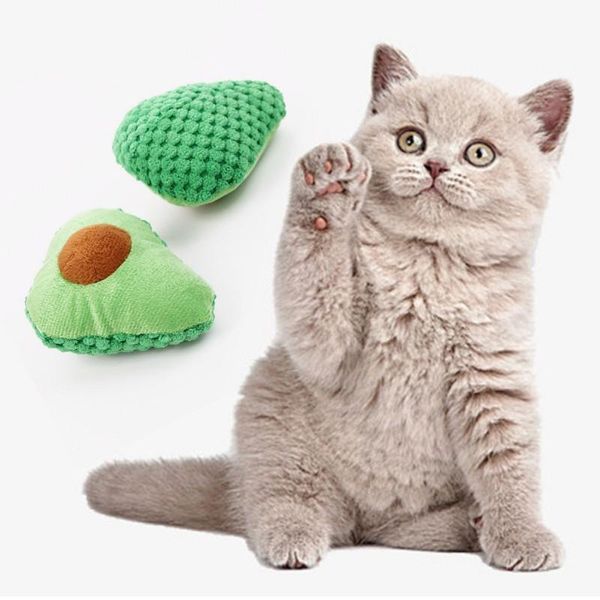 cat toys cute fruit-shaped interactive toy for cats