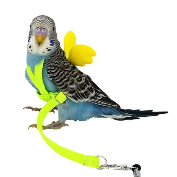 other bird supplies pet parrot traction strap harness leash flying rope straps outdoor training for budgerigar lovebird cockatiel lizard
other bird supplies pet parrot traction strap harness leash flying rope straps outdoor training for budgerigar lovebird cockatiel lizard