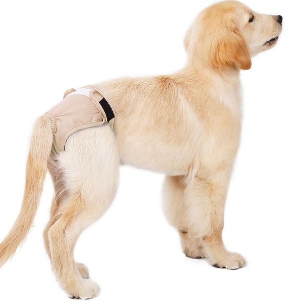 dog apparel puppy diaper physiological pants pet girl underwear short accessories js21
dog apparel puppy diaper physiological pants pet girl underwear short accessories js21