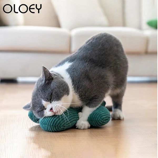 cat toys funny cactus toy pet kitten interactive chewing teeth grinding catnip thumb bite mint for cats supplies
cat toys funny cactus toy pet kitten interactive chewing teeth grinding catnip thumb bite mint for cats supplies