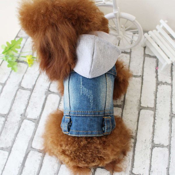 the dog clothes pet gray hat coat bixiong vip spring and summer jeans vest dog clothing
the dog clothes pet gray hat coat bixiong vip spring and summer jeans vest dog clothing