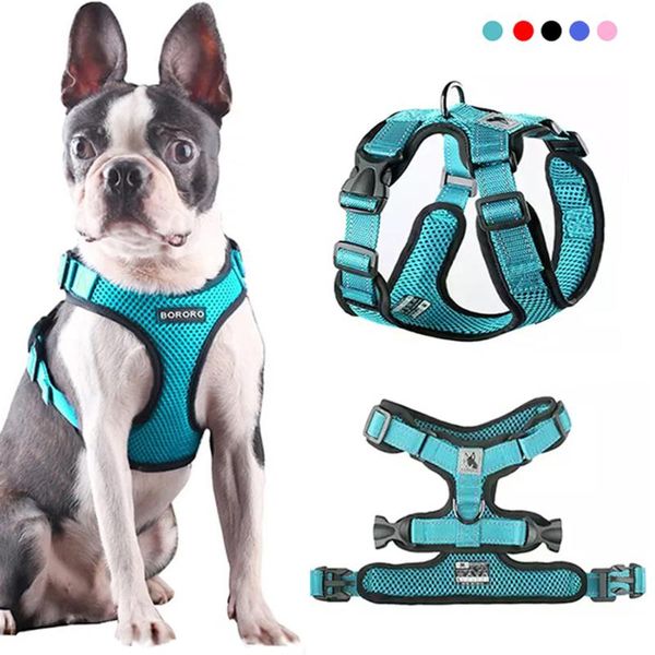 pet dog harness summer mesh nylon breathable vest soft adjustable for dogs puppy collar cat chest strap collars & leashes
pet dog harness summer mesh nylon breathable vest soft adjustable for dogs puppy collar cat chest strap collars & leashes
