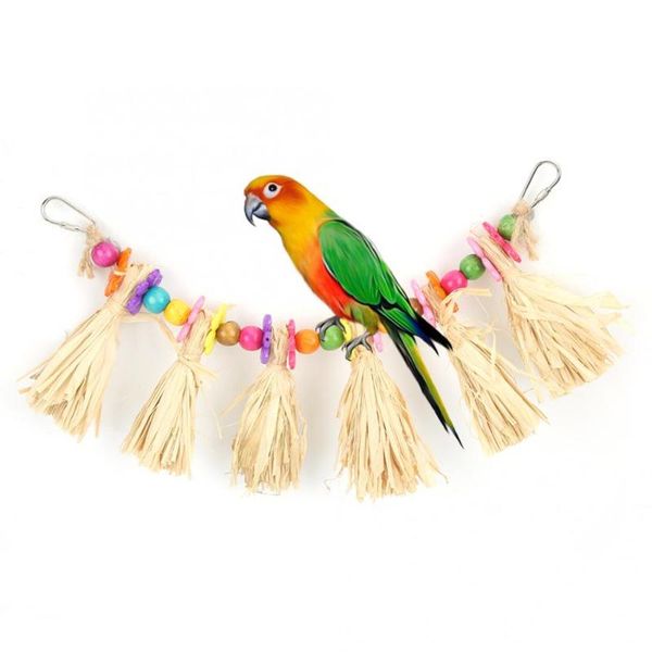 other bird supplies accessories pet acrylic hanging toy biting chewing playing for cage decoration
other bird supplies accessories pet acrylic hanging toy biting chewing playing for cage decoration