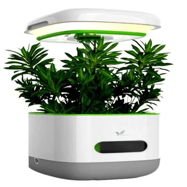 hydroponics growing system indoor garden kit with led grow light smart hydroponic aero gardening for herbs/vegeies lights
hydroponics growing system indoor garden kit with led grow light smart hydroponic aero gardening for herbs/vegeies lights