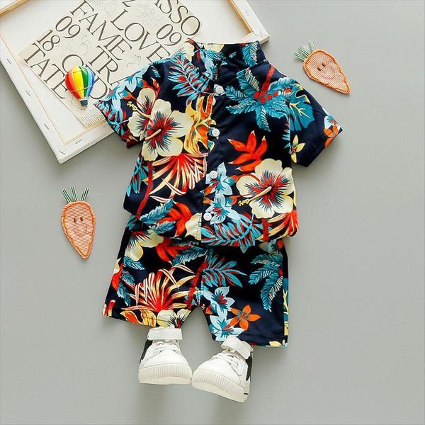1 6t summer beach boys floral clothes set toddler kid baby girls short sleeve flower print shirt and shorts, White
1 6t summer beach boys floral clothes set toddler kid baby girls short sleeve flower print shirt and shorts, White