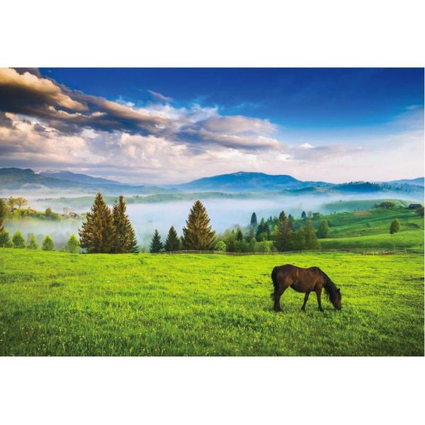 party decoration natural scenery backdrop horses graze on the prairie pography background decor born wedding po booth studio prop
party decoration natural scenery backdrop horses graze on the prairie pography background decor born wedding po booth studio prop