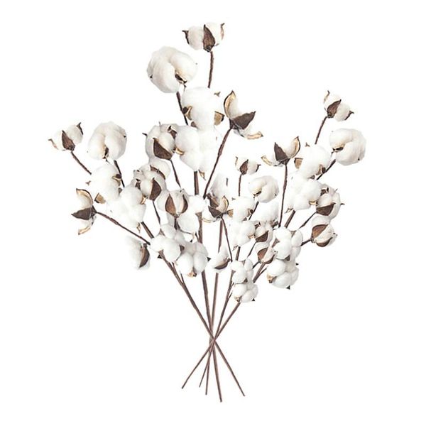 fake cotton flowers artificial 5pcs stems with 10 heads plant wedding decoration home farmhouse decorative & wreaths
fake cotton flowers artificial 5pcs stems with 10 heads plant wedding decoration home farmhouse decorative & wreaths
