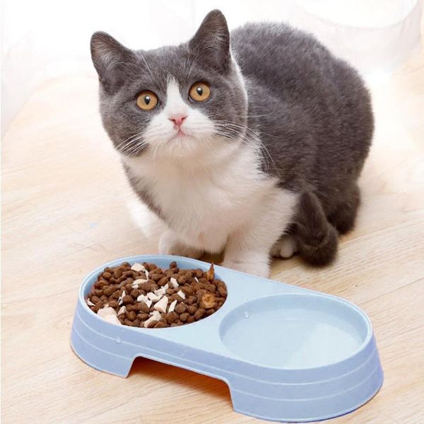 cat bowls & feeders plastic puppy food water drinking dish macarone double pet bowl feeder feeding supplies small dog accessories
cat bowls & feeders plastic puppy food water drinking dish macarone double pet bowl feeder feeding supplies small dog accessories