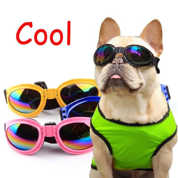 dog apparel 2021 cat accessories pet supplies glasses 5 color foldable small medium large uv protection sunglasses
dog apparel 2021 cat accessories pet supplies glasses 5 color foldable small medium large uv protection sunglasses
