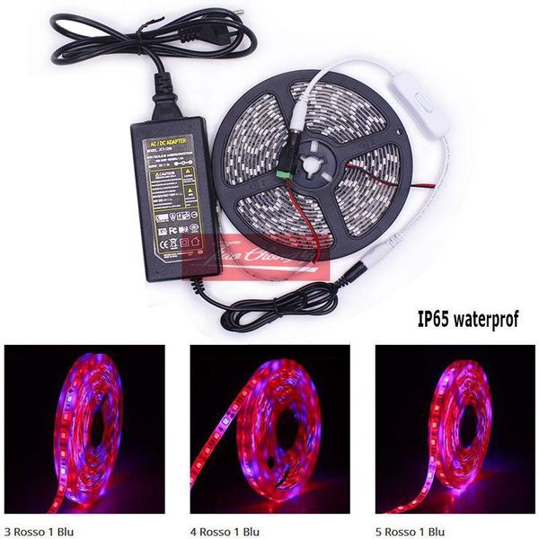 strips 12v-1-5m-led-plant-grow-light-flexible-strip-3-1-4-1-5-1-red-blue-power-switch 1m set-5m set
strips 12v-1-5m-led-plant-grow-light-flexible-strip-3-1-4-1-5-1-red-blue-power-switch 1m set-5m set