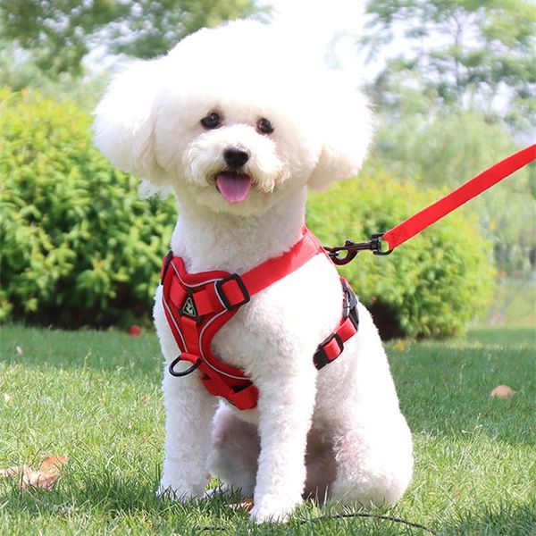 dog collars & leashes leash harness for small breeds dogs pet vest chest atrap reflective walking cat accessories rope supplies
dog collars & leashes leash harness for small breeds dogs pet vest chest atrap reflective walking cat accessories rope supplies