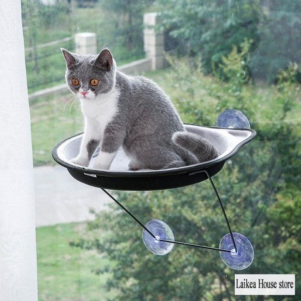 cat beds & furniture pet hammock window hanging suction bed litter house sofa cushion 37x4.5cm shelf seat
cat beds & furniture pet hammock window hanging suction bed litter house sofa cushion 37x4.5cm shelf seat