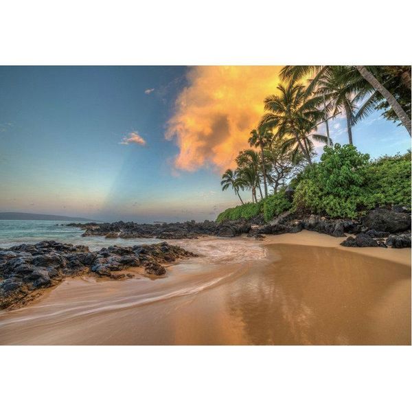 party decoration summer backdrop evening beach reef scenery background decor born wedding pography po booth studio props
party decoration summer backdrop evening beach reef scenery background decor born wedding pography po booth studio props