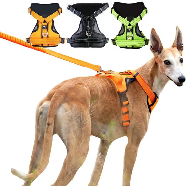 dog collars & leashes no pull harness adjustable reflective pet vest for medium large dogs outdoor safety big running training
dog collars & leashes no pull harness adjustable reflective pet vest for medium large dogs outdoor safety big running training