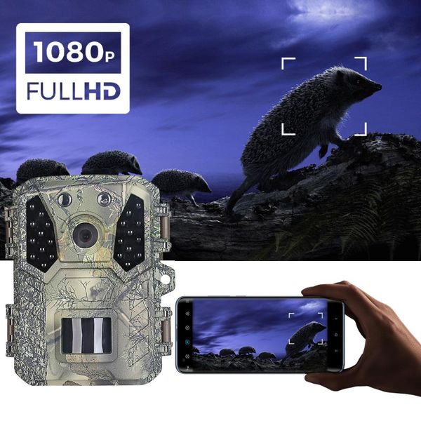 hunting camera 20mp 1080p motion digital infrared ip66 waterproof 0.2s trigger speed trail for wildlife watching cameras
hunting camera 20mp 1080p motion digital infrared ip66 waterproof 0.2s trigger speed trail for wildlife watching cameras