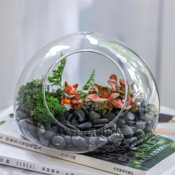 vases hand blown glass droplet shaped round cute miniature micro landscape modern minimalist trendy planter terrarium gift
vases hand blown glass droplet shaped round cute miniature micro landscape modern minimalist trendy planter terrarium gift