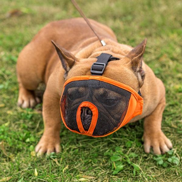 comfortable adjustable protect training durable breathable secure mesh anti barking dog muzzle bite short snout apparel
comfortable adjustable protect training durable breathable secure mesh anti barking dog muzzle bite short snout apparel