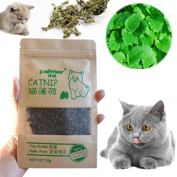cat toys catnip organic 100% natural mint grass funny for kitten pet healthy safe edible treating products
cat toys catnip organic 100% natural mint grass funny for kitten pet healthy safe edible treating products