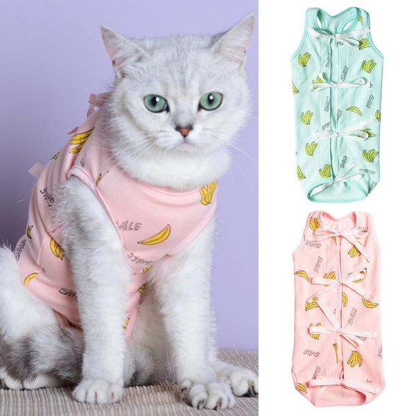 cat costumes anti-mite clothes weaning posrative thin section breathable four-legged pet costume
cat costumes anti-mite clothes weaning posrative thin section breathable four-legged pet costume