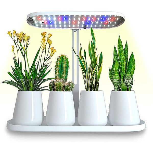 plant growth light pot machine full spectrum greenhouse reef lamp cultivation grow lights
plant growth light pot machine full spectrum greenhouse reef lamp cultivation grow lights
