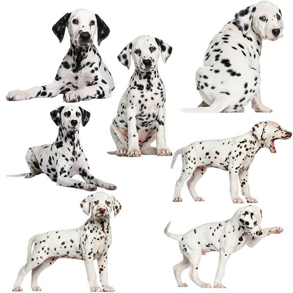 wall stickers three ratels qc388 hd pixel cute dalmatians waterproof dog sticker auto wrap for car hood laphome decoration decals
wall stickers three ratels qc388 hd pixel cute dalmatians waterproof dog sticker auto wrap for car hood laphome decoration decals