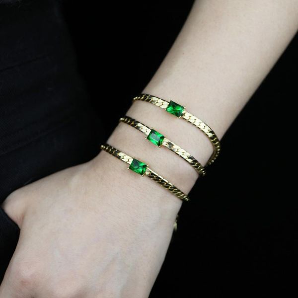 link, chain wholesale fashion jewelry punk flat snake with green cubic zircon paved heart square eye charm bracelet for women girl, Black
link, chain wholesale fashion jewelry punk flat snake with green cubic zircon paved heart square eye charm bracelet for women girl, Black