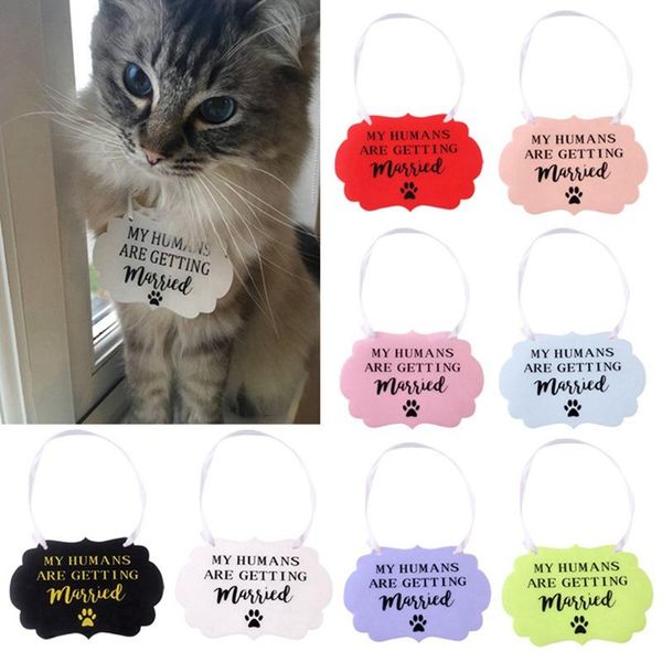 dog collars & leashes pet married memorial tag cat wedding collar anniversary pendant for hanging plate accessories cn
dog collars & leashes pet married memorial tag cat wedding collar anniversary pendant for hanging plate accessories cn