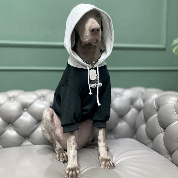 dog apparel panda large clothes autumn winter thick warm sweater golden retriever labrador doberman anti-hair falling
dog apparel panda large clothes autumn winter thick warm sweater golden retriever labrador doberman anti-hair falling