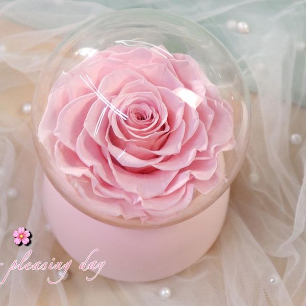 set luxury present dried flowers eternal real rose with music box in glass dome gift for valentine's day home decor decorative & wreath
set luxury present dried flowers eternal real rose with music box in glass dome gift for valentine's day home decor decorative & wreath