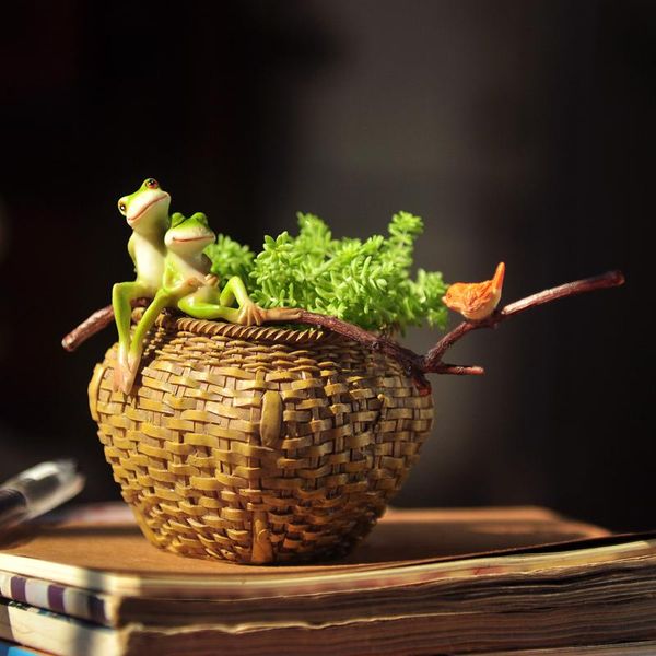 cartoon animal micro model garden decoration gaily decorated basket potted suculentas cactus succulent plant flower pot planters & pots
cartoon animal micro model garden decoration gaily decorated basket potted suculentas cactus succulent plant flower pot planters & pots